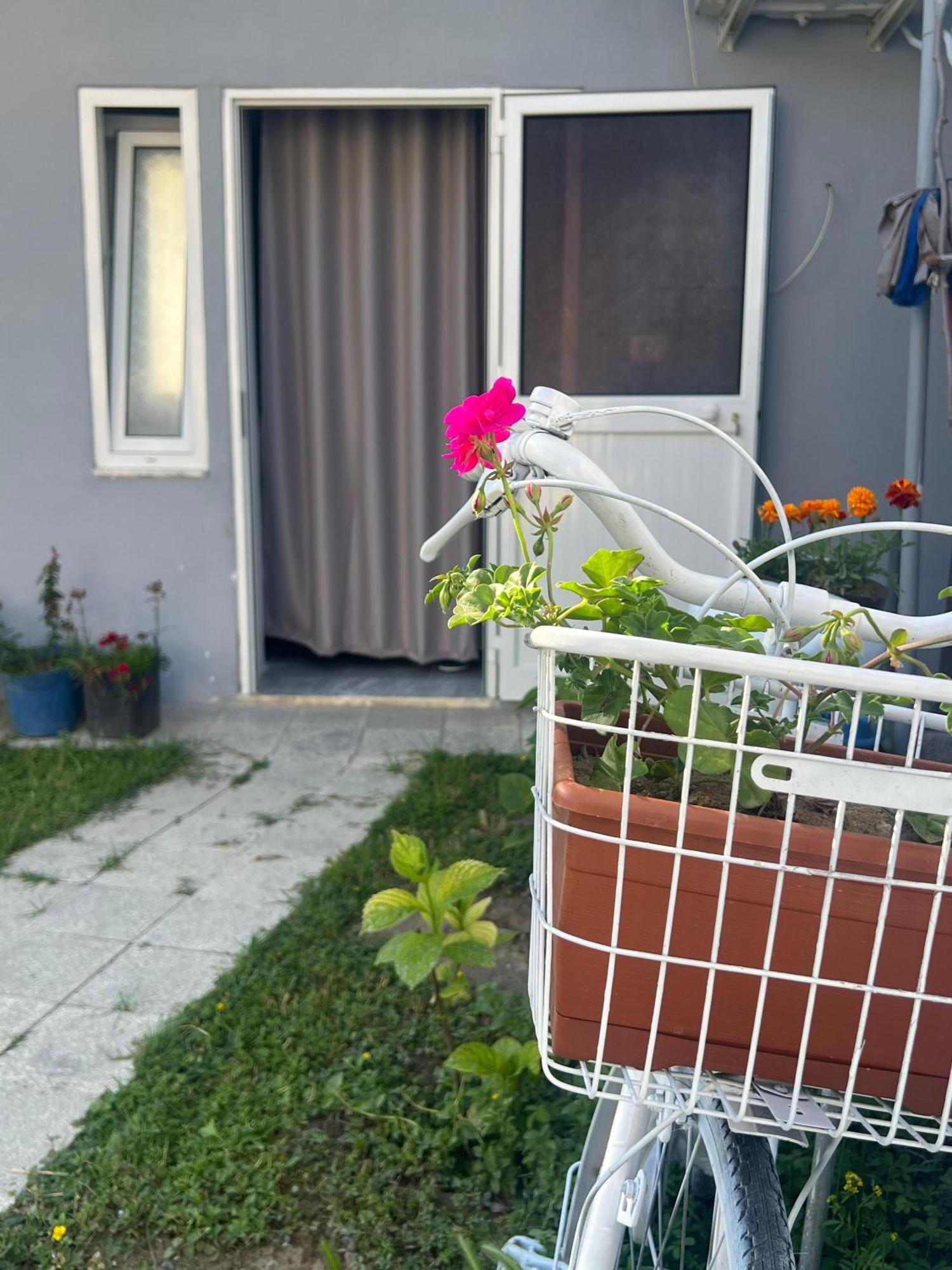 Happy Corner Guest House Shkodër Екстериор снимка